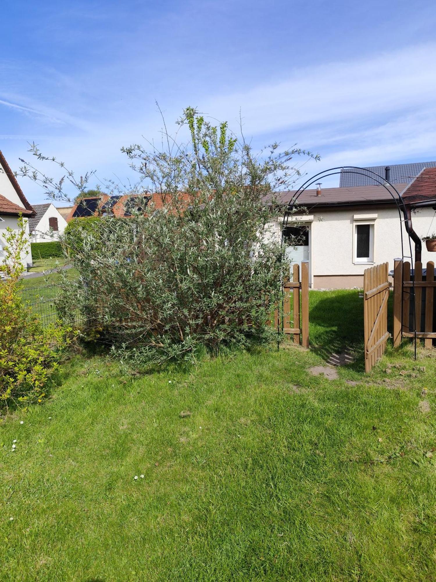 Sonnengarten Ückeritz Exterior foto
